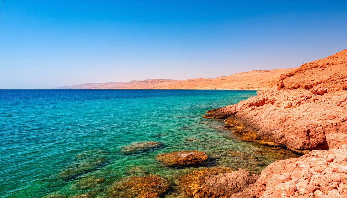    Фото: Шедеврум