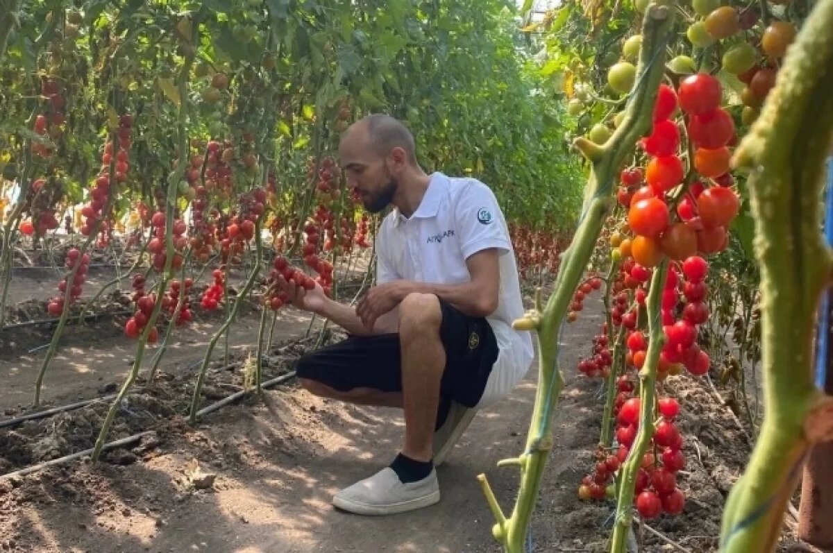    Забот полон огород.