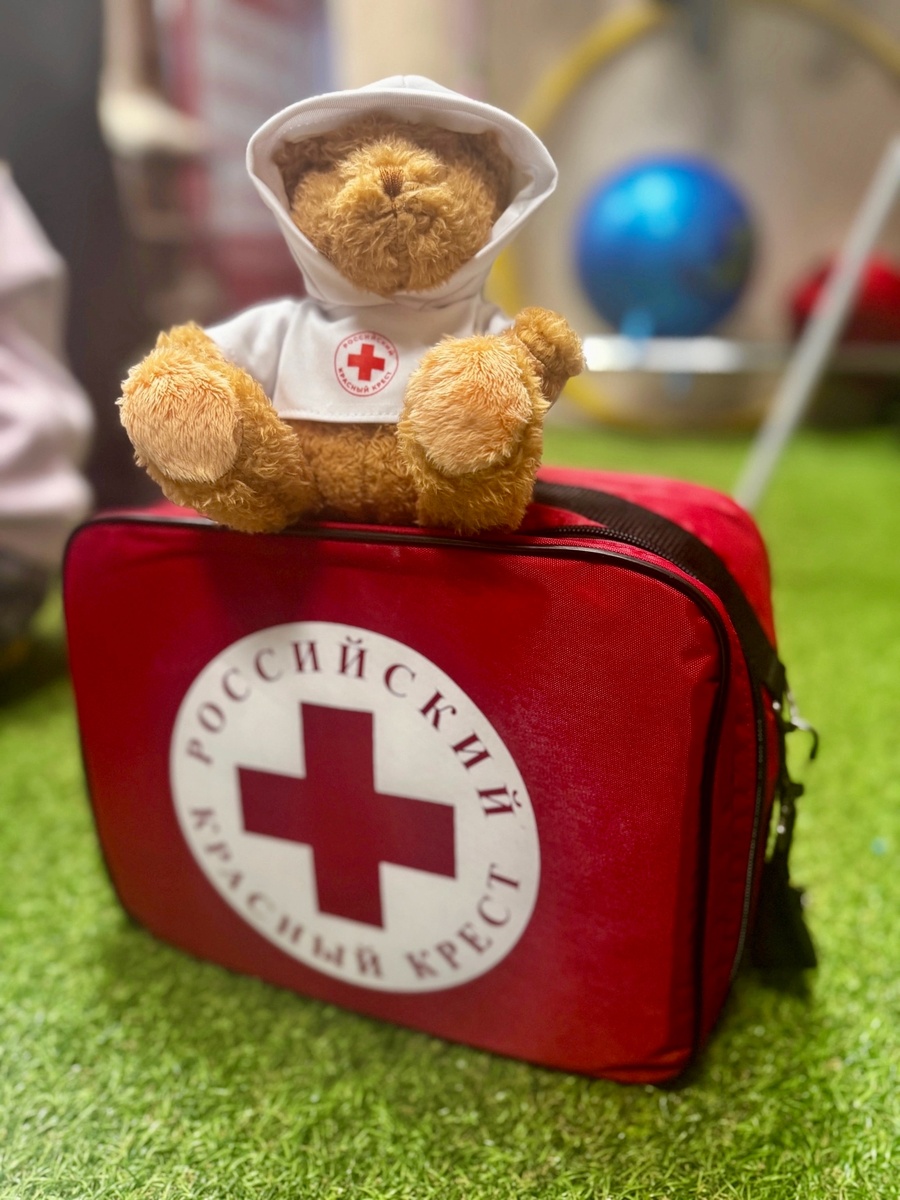 Фото: Российский Красный Крест | Курская область