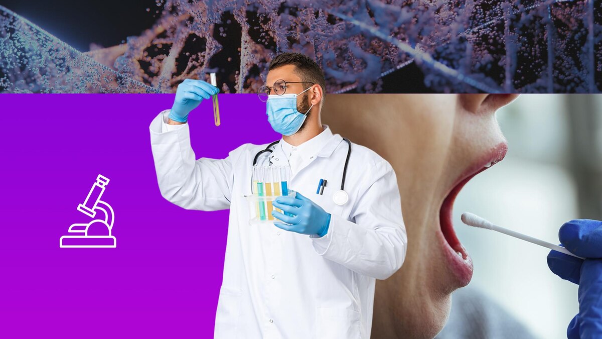 Коллаж 78.ru: freepik.com/Drazen Zigic; benzoix, unsplash.com, flaticon.com/Good Ware