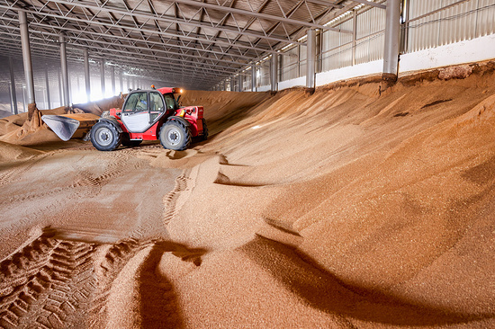 Фото: Алексей Коновалов