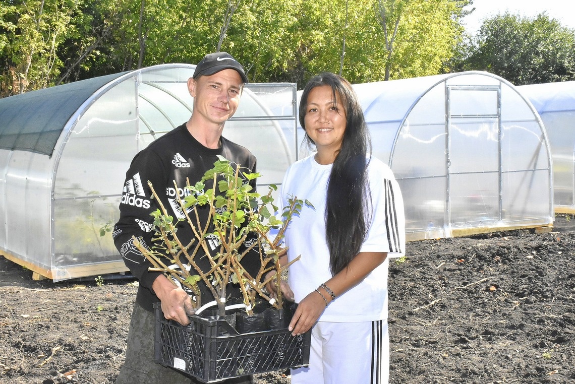 Саженцы, выращенные супругами Ходовыми из Добринки, пользуются спросом не только у односельчан, но и у жителей других районов Липецкой области.