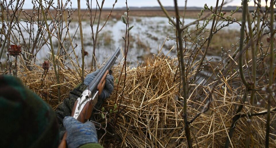    РИА «Новости»