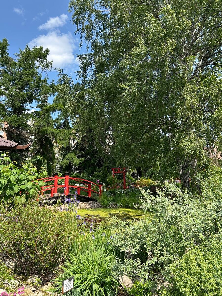 Вместе с цветением ботанического сада расцветает душа