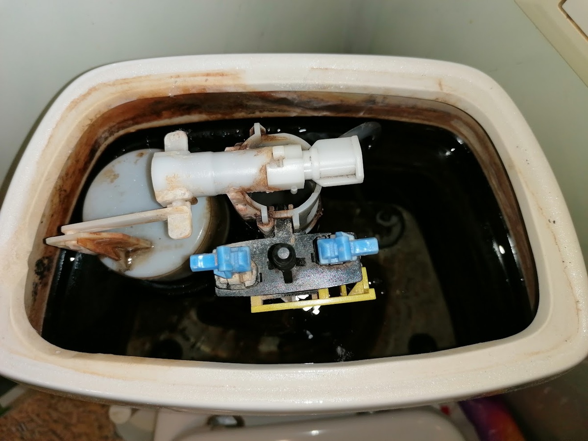 А это — ДО. Фото автора