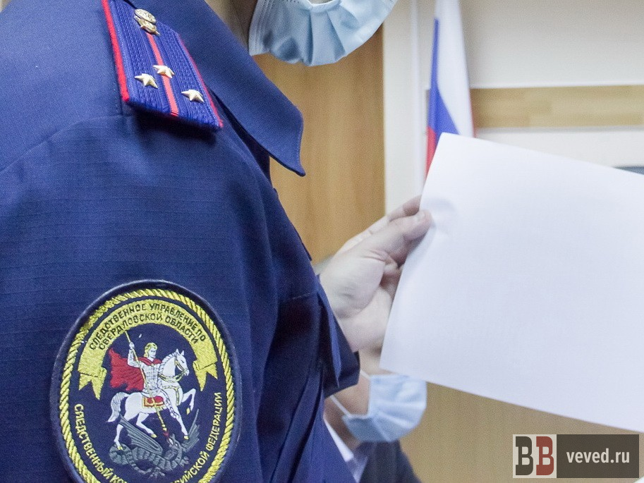     Фото: Андрей Гоголев / Вечерние ведомости