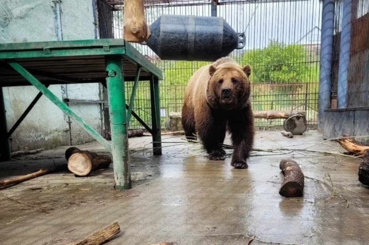    В зоопарке под Омском усилили меры пожарной безопасности