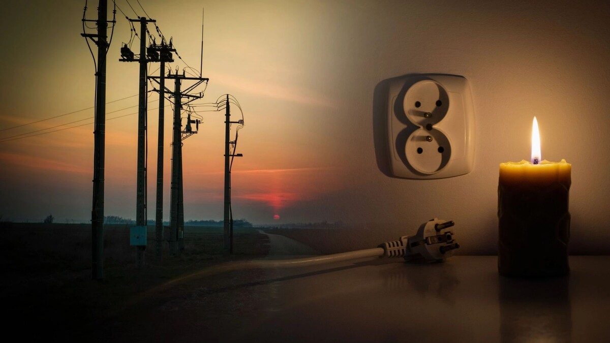    Фото: Mushrooms Art/Shutterstock/Fotodom