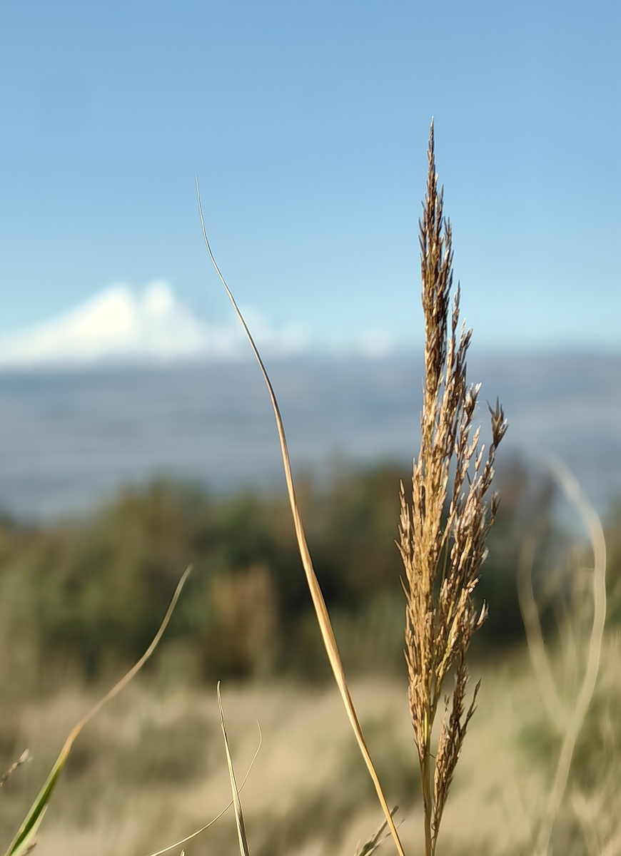 Утро прекрасно