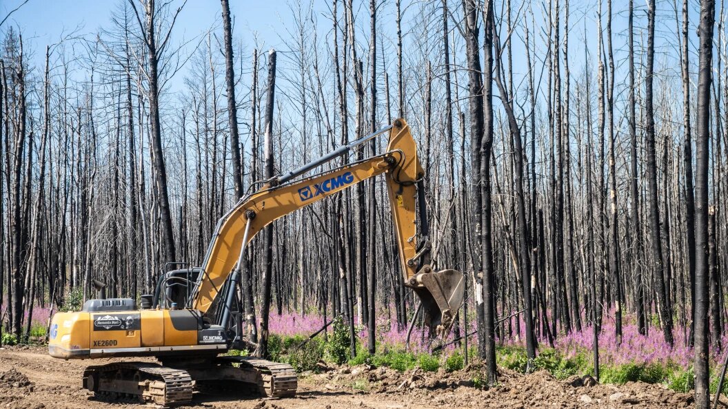    Фото: Ilya Moskovets/Globallookpress