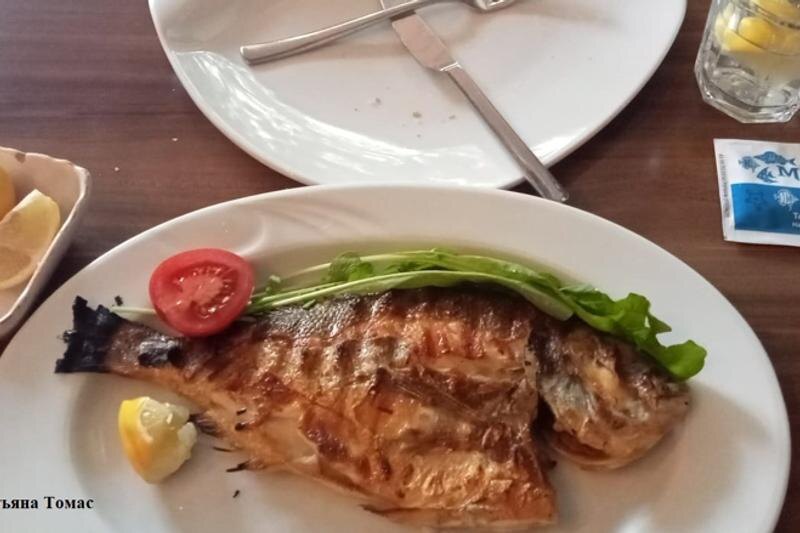    Рыба на тарелке