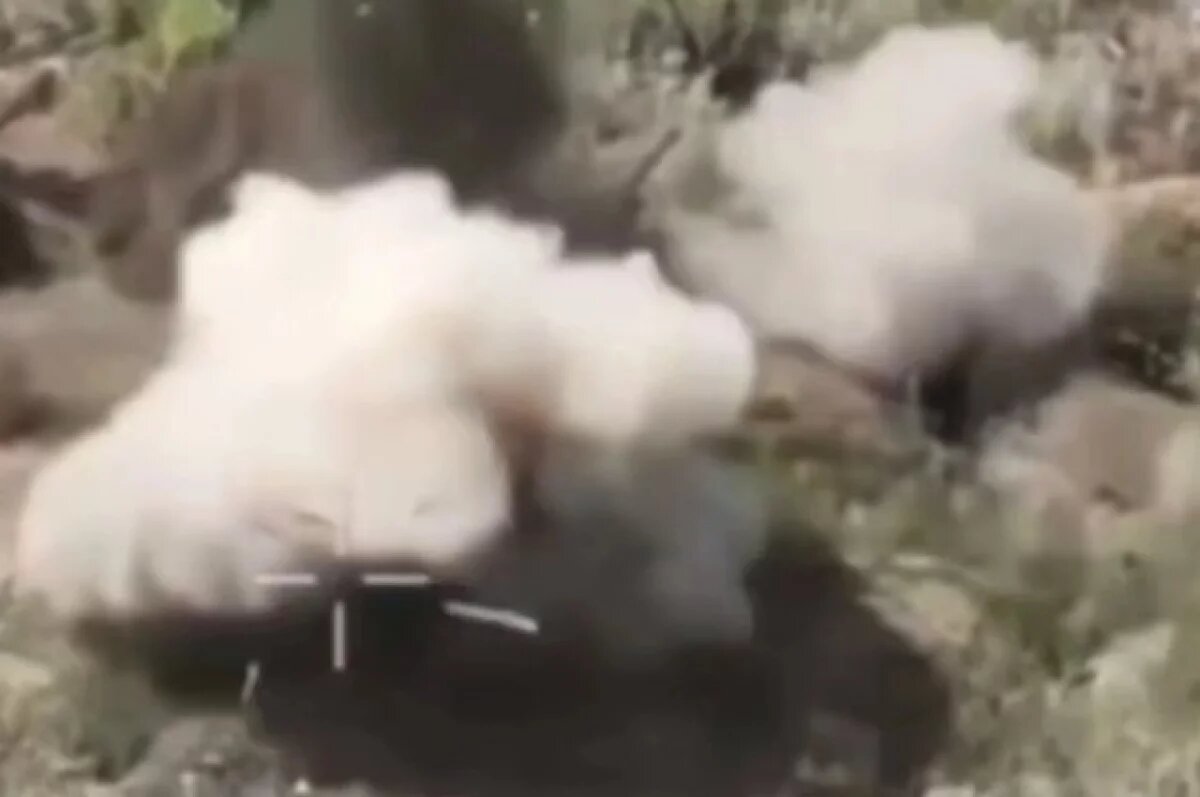    Руденко: дроны уничтожили подразделение ВСУ в Днепропетровской области