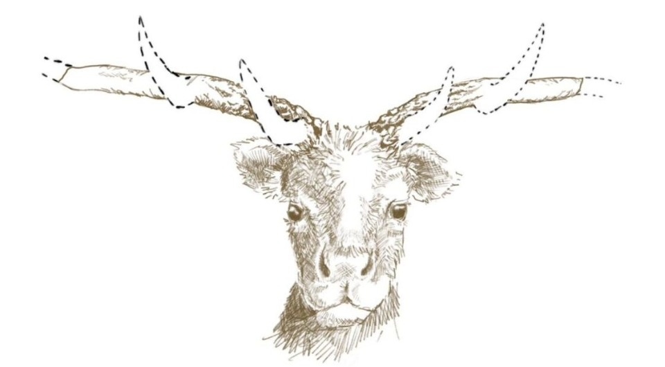   Sherri Owen; Camille Kessler et al. / bioRxiv, 2025