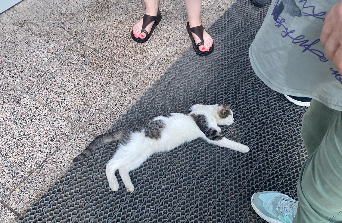 В Беларуси работать должны все.