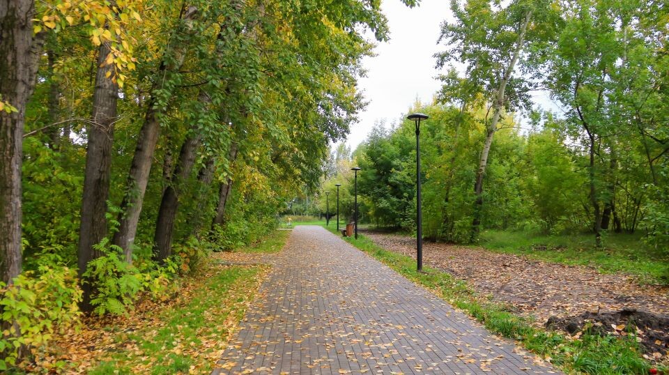    Реконструкция территории бывшего парка имени Ленина. Сентябрь 2025 года. Источник: Виталий Барабаш/"Толк"