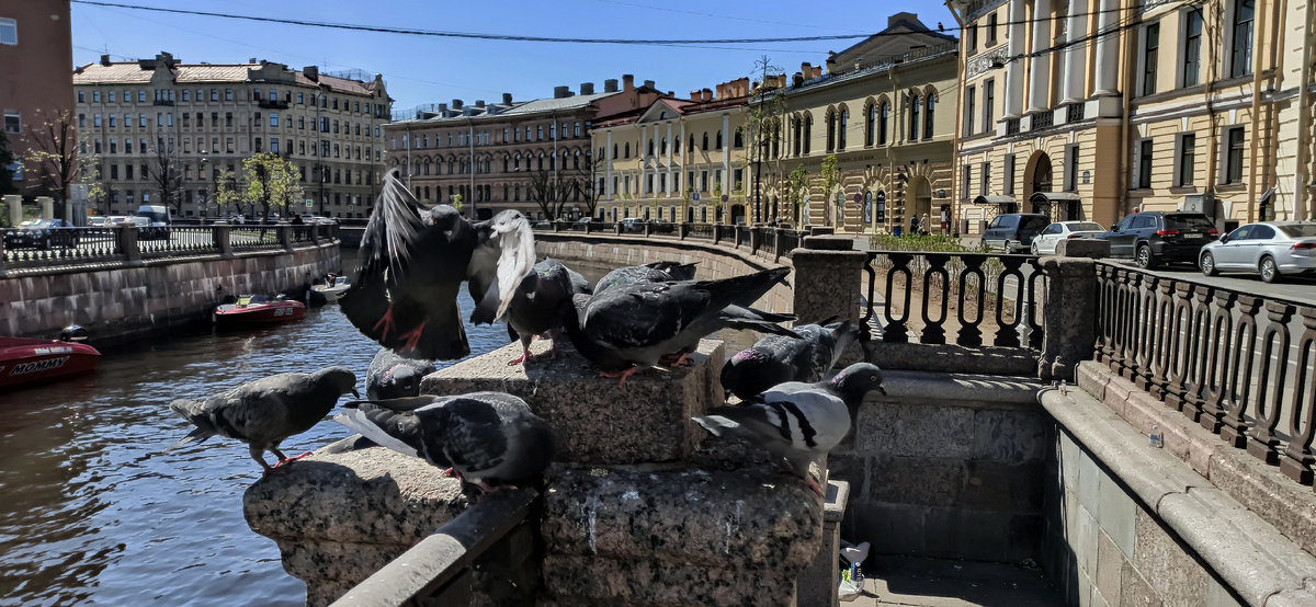 Канал Грибоедова. Рядом с музеем искусства