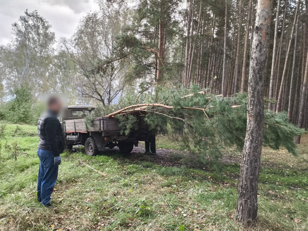 Фото: пресс-служба ГУ МВД России по Челябинской области