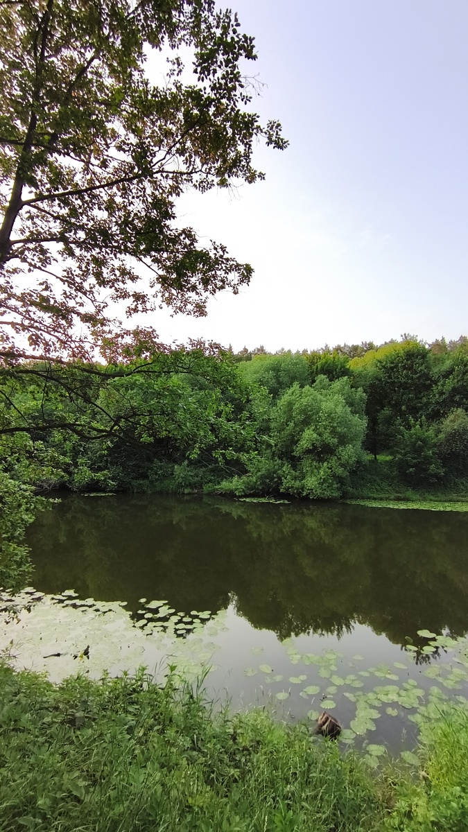 Фото автора. 