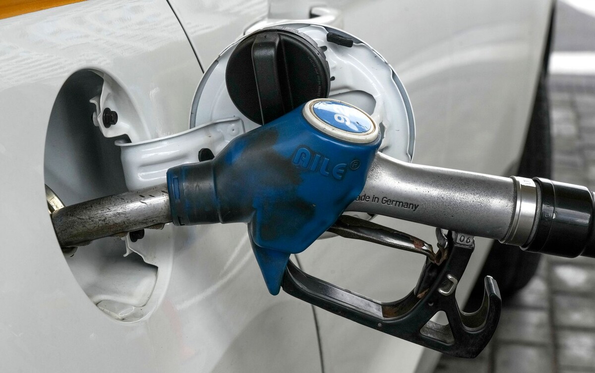     / Источник: © ИЗВЕСТИЯ/Дмитрий Коротаев