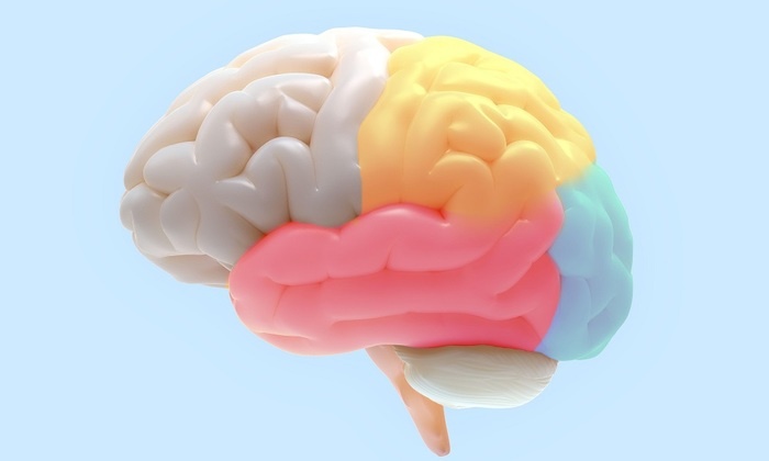    Врач назвала первые симптомы развития деменции