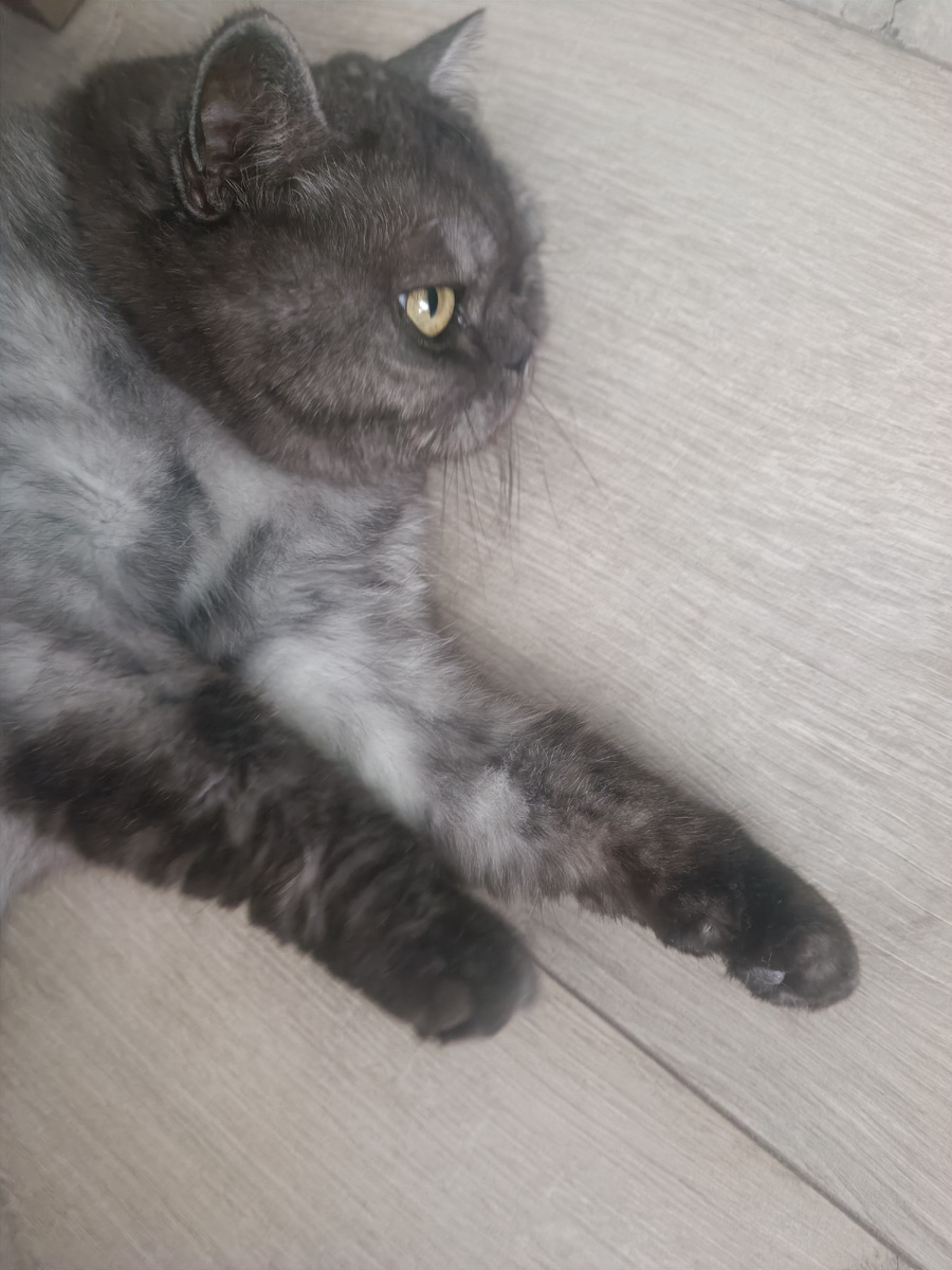 Хочется уже на бочок увалиться, как Леяша🙄