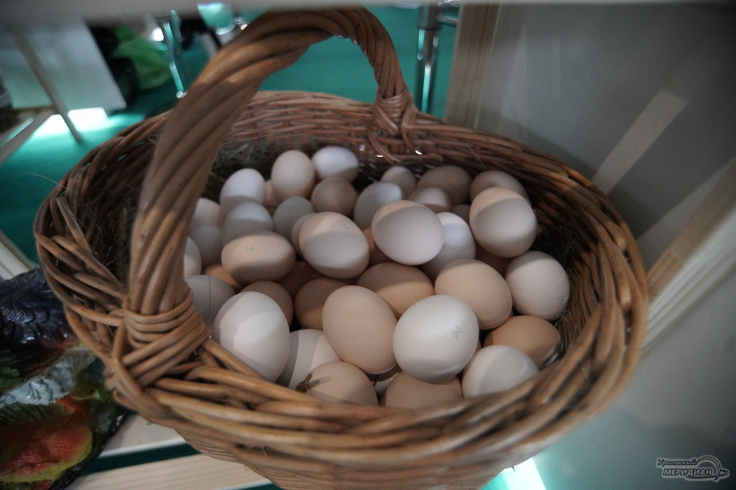    Фото: Лидия Аникина © ИА «Уральский меридиан»