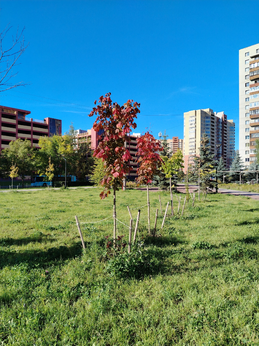 Фото автора канала от 25.09.2025 