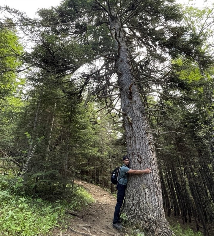 Масштаб виден на фото (листайте дальше➜)