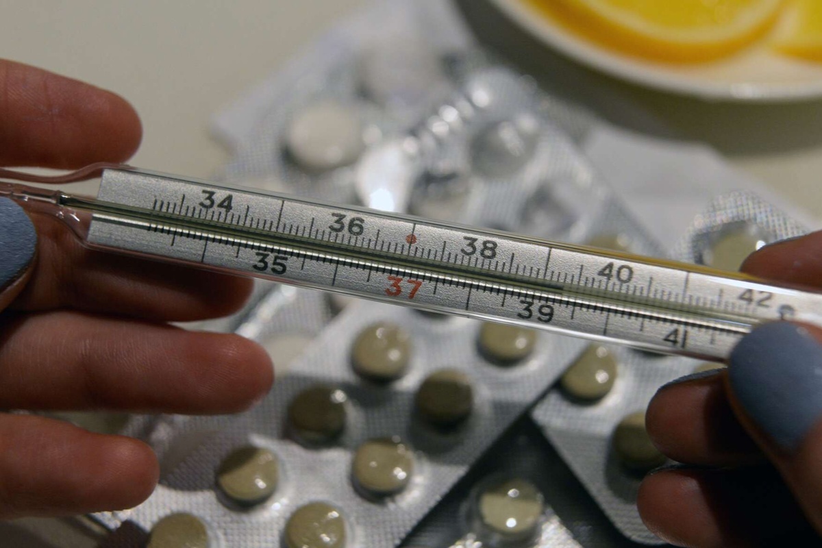    Фото: Александр Кряжев, источник: ria.ru