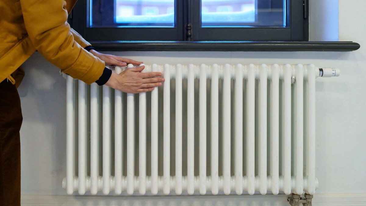    Фото: DimaBerlin/Shutterstock/Fotodom