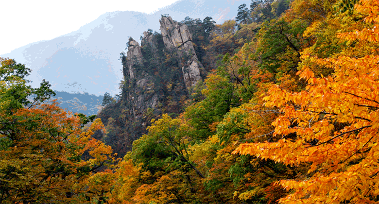 Нацпарк Чирисан. Фото с сайта https://www.pinterest.com/pin/autumn-in-korea-fall-foliage-forecast-2018--519743613244127428/. Взято с Яндекс.Каринки