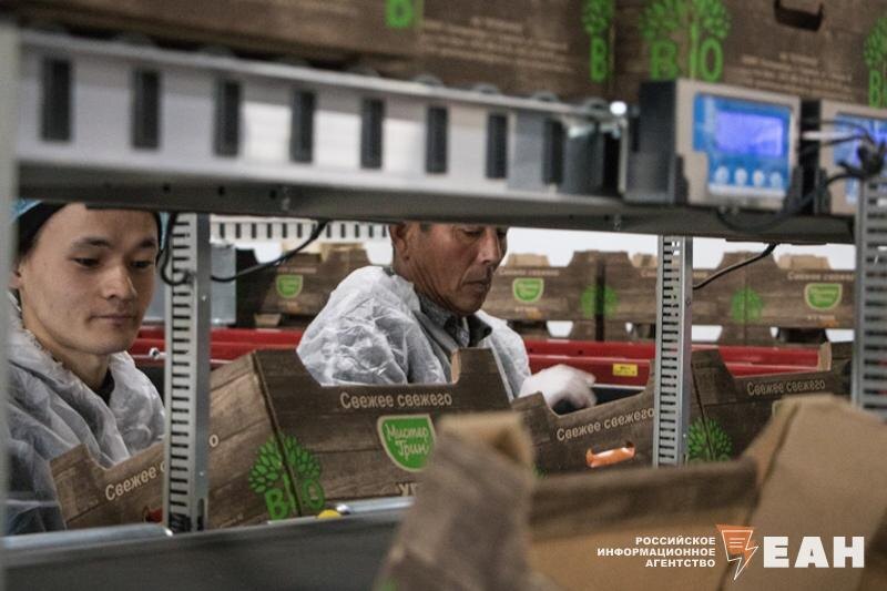    Мигранты на производстве