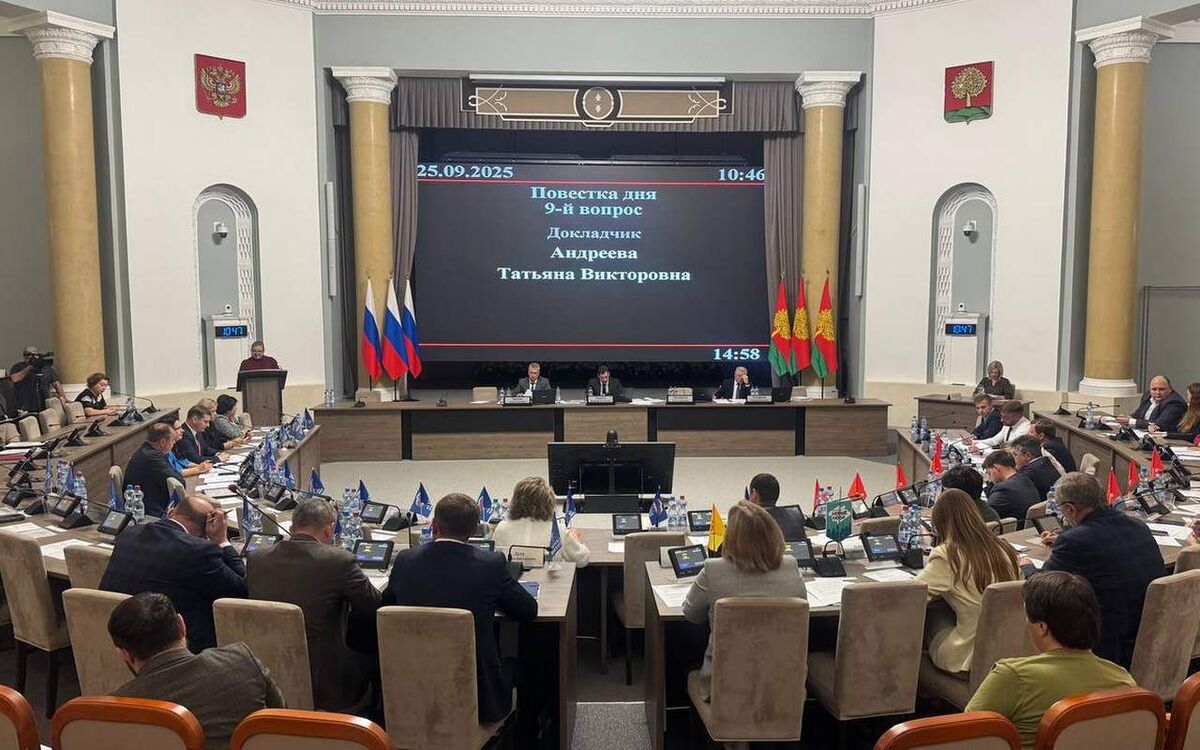    Доходы бюджета Липецкой области в 2025 году вырастут почти на 550 млн рублей Фото: телеграм-канал Липецкого облсовета