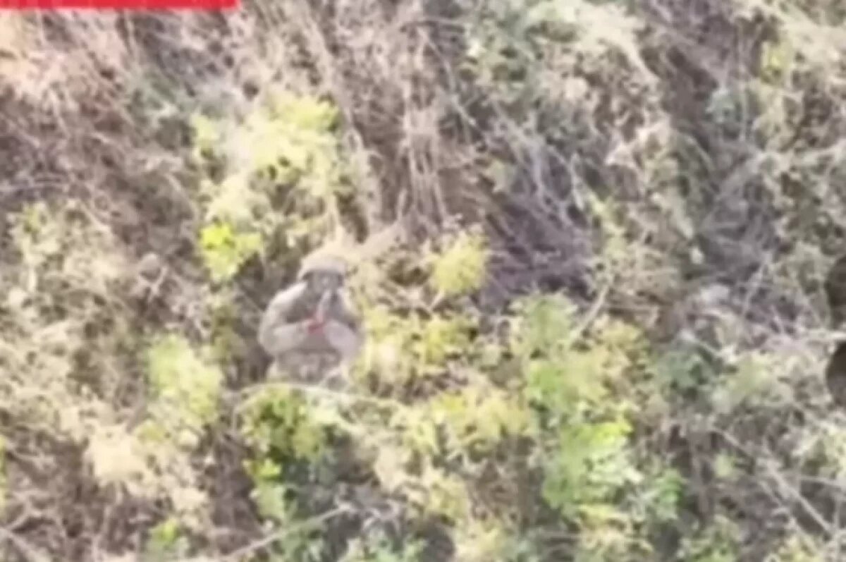    Солдат ВСУ в ходе боев под Сумами встал на колени перед российским дроном