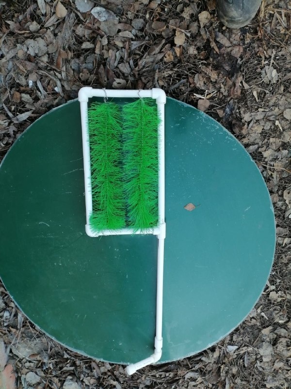 На убогом "изобретении" Термоса окажутся не только волосы и нитки, но и вполне себе биопленка из тех самых микроорганизмов