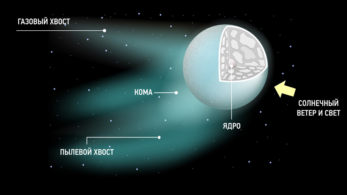     Фото: Designua/Shutterstock/FOTODOM Строение кометы