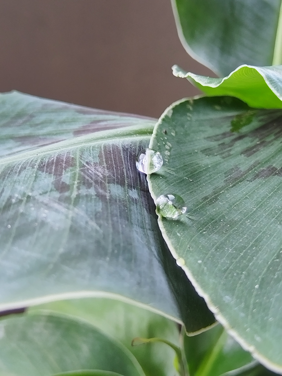 Философская картинка