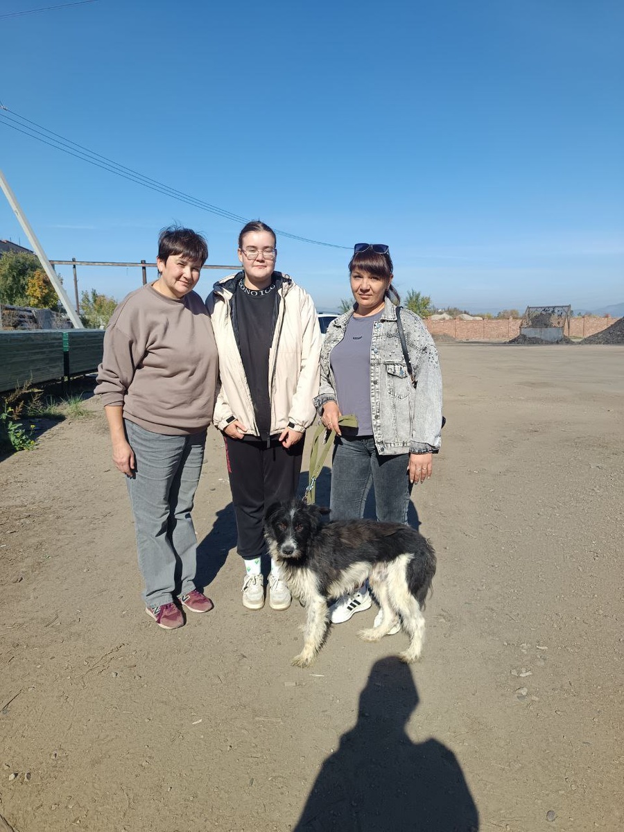 Пёсик Митя уезжает домой. Удачи и долгой счастливой жизни ему и его хозяевам. Огромное спасибо тем, кто помог Мите и его хозяевам найти друг друга