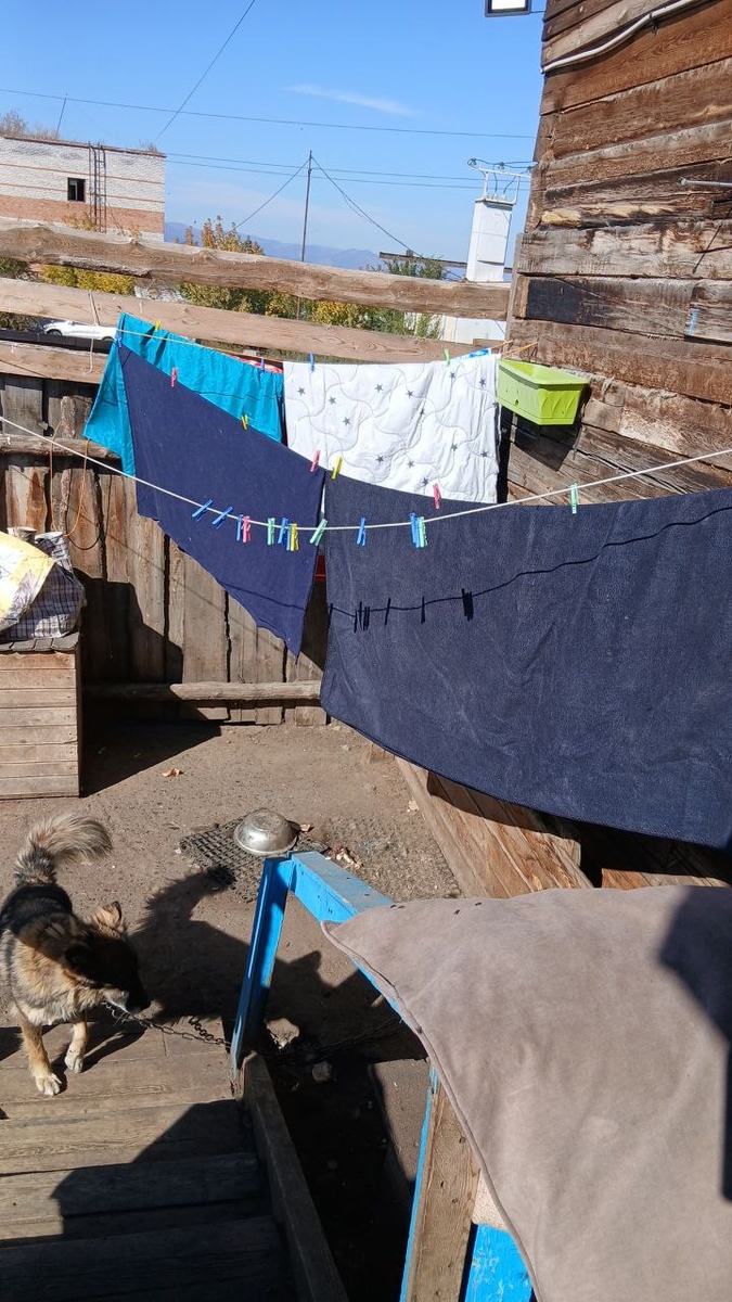 Сегодня в Бурятии солнечно, поэтому максимально постирали пледы, подстилки, лежаки. Всё это постоянно используется в помещених, где живут собаки