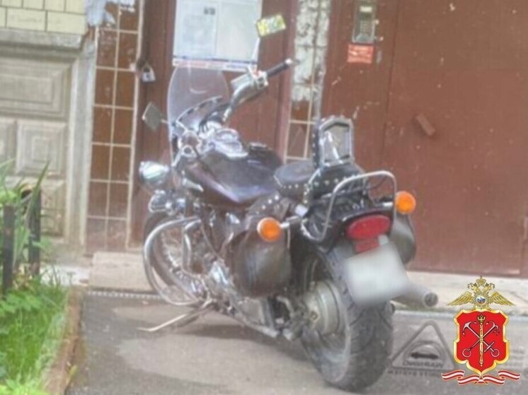     Возбуждено уголовное дело по пункту «в» части 3 статьи 158 УК РФ (кража). Фото: телеграм-канал ГУ МВД по Петербургу и Ленобласти.