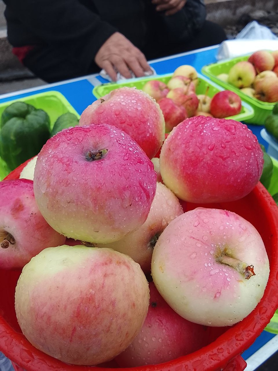 Мальт Багаевский. Фото автора
