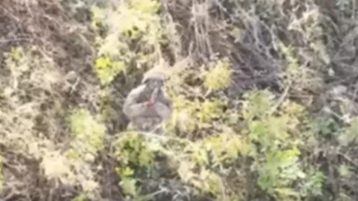    Фото: скриншот видео / «Северный Ветер» / Telegram