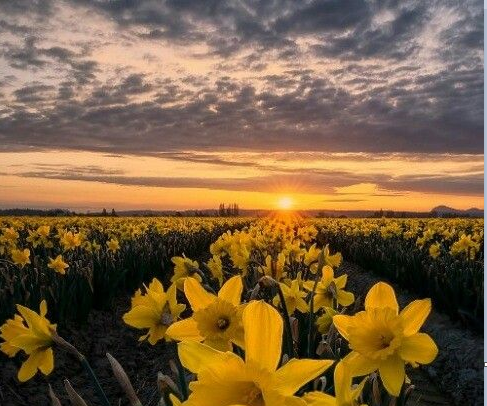 Источник: pinterest.com