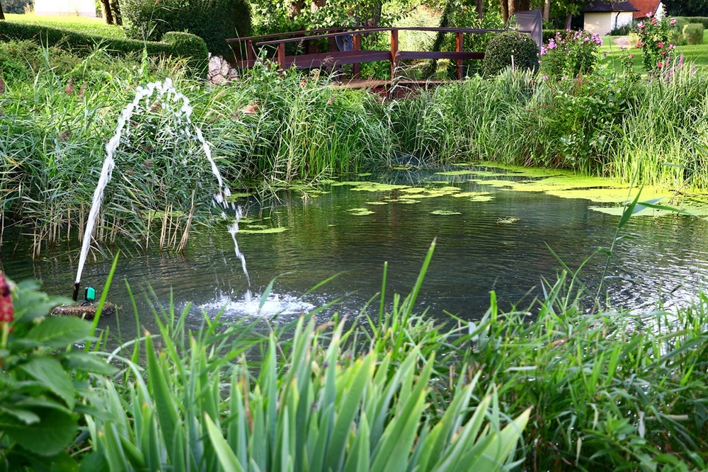    Фонтан полезен, потому что аэрирует воду - капли смешиваются с воздухом и возвращаются обогащенные кислородом. / Фото: iStock