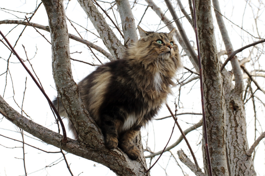    Shutterstock/FOTODOM