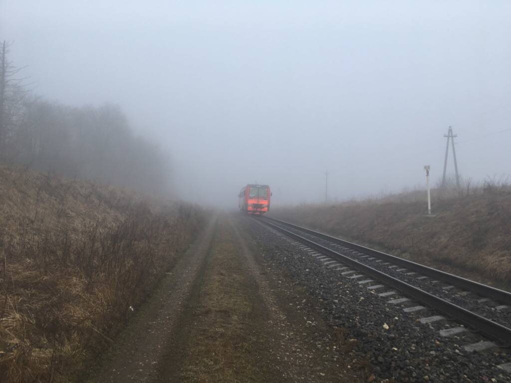    фото: Сергей Ковалев