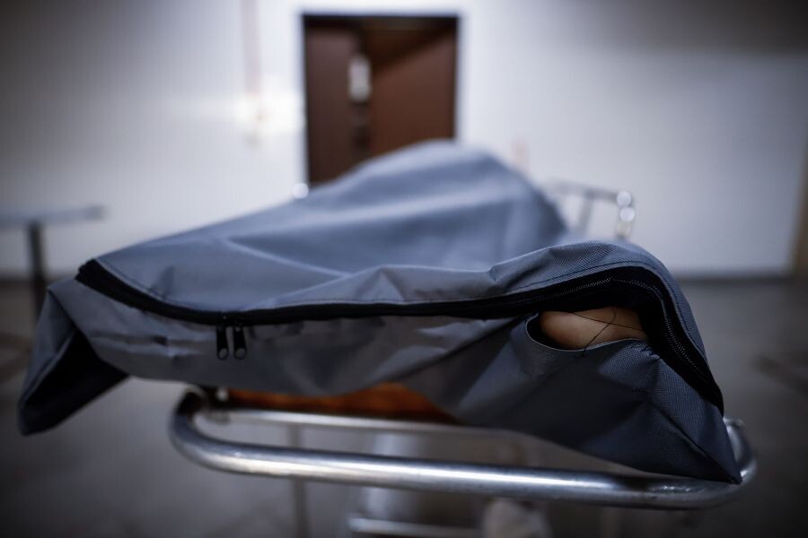     / Источник: © Nathalia Aguilar/EPA/ТАСС