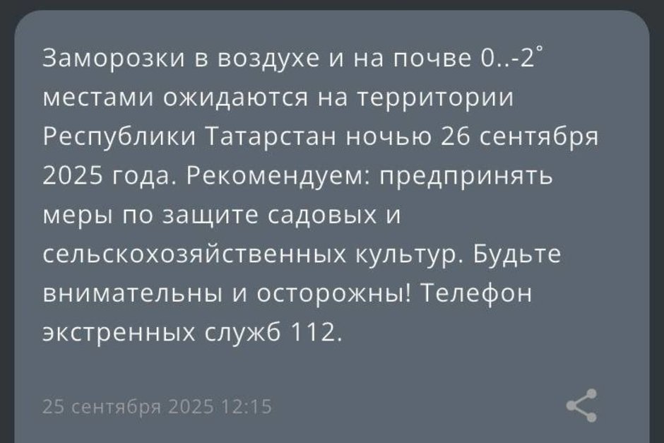   скриншот приложения МЧС