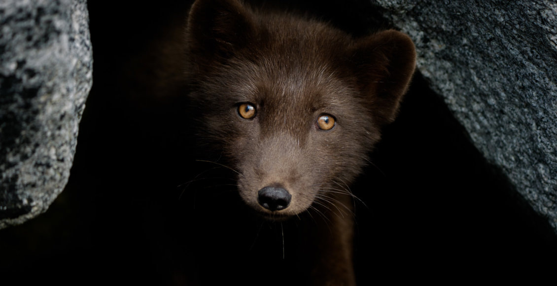    Фото: © Илья Труханов