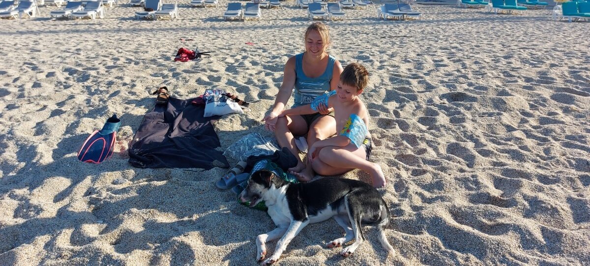 Прямо на пляжев первый же день к нам с сыном пришла местная милая собачка.